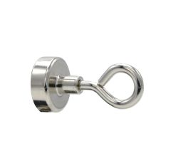 Magneetoogjes neodymium zilver 6 st Ø20mm