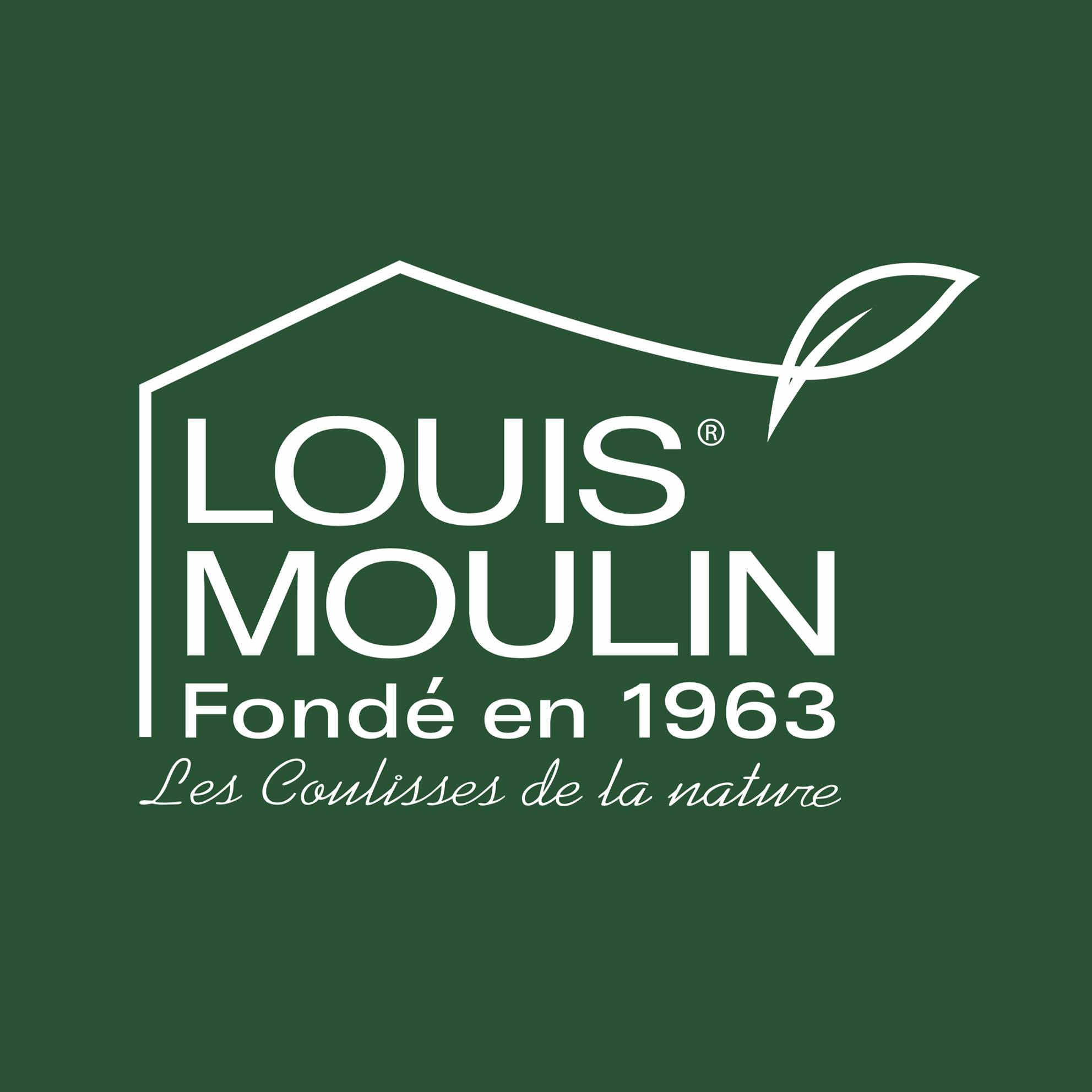 Louis Moulin